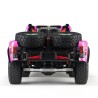 PINECONE MODEL SG 1002SE 1/10 2.4Ghz 4WD Drift RC Truck