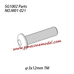 M01-021 Hexagon socket button head machine screw (φ3x12mm TM) Parts For SG1002 / SG1002SE SG-RC Car