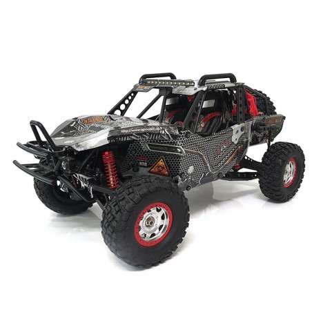 SG PINECONE FOREST 1001SE 1/10 High-Speed RC Car