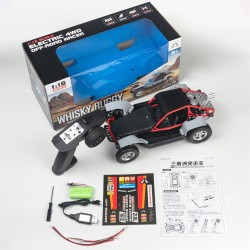 SG PINECONE FOREST 1612 1/16 High-Speed RC Car red package