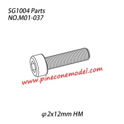 M01-037 (φ2x12mm HM) Hexagon socket head cap machine screw Parts For SG1004 SG-RC Car