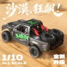 Pinecone Model SG1002P 1/10 4WD High speed Off-road RC Car