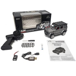 Pinecone Forest SG-2401 1/24 2.4Ghz 4WD High-Speed RC Truck gray