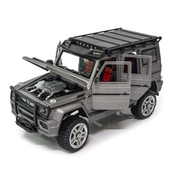 Pinecone Forest SG-2401 1/24 2.4Ghz 4WD High-Speed RC Car gray